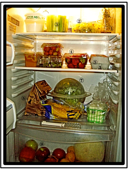 veggie-fridge_sm